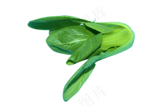 蔬菜食材食物绿色油菜菜