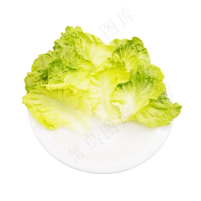 绿色生菜(3000*3000px 300 dpi )