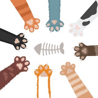 一套猫爪卡通插图。家畜的脚