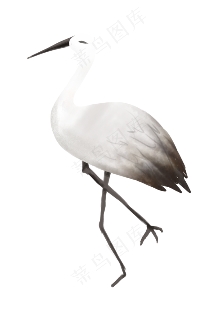 节气白露寒露白鹭