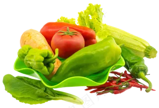 绿色盘子蔬菜合集