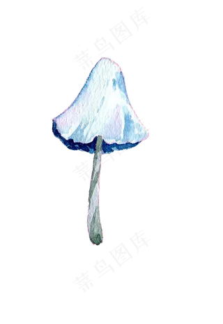 手绘蘑菇水彩蘑菇秋日蘑菇