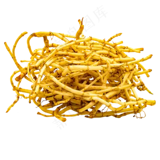 草药鱼腥草,免抠元素