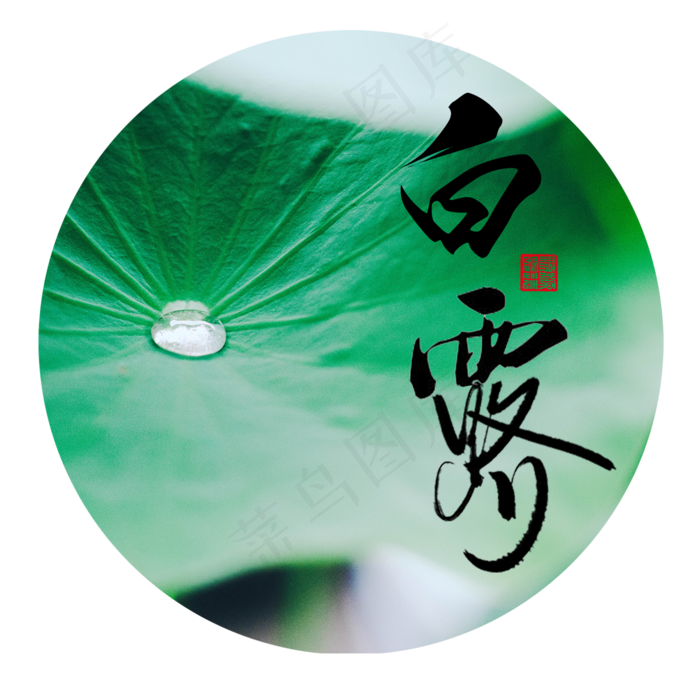白露节气露珠(2000X2000(DPI:300))psd模版下载