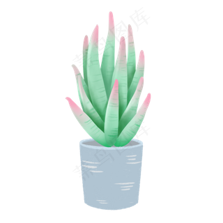 春天盆栽植物小清新多肉,免抠元素