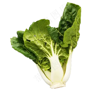 蔬菜青菜