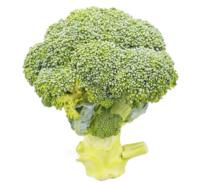 西兰花绿菜花(2000X2000(DPI:300))