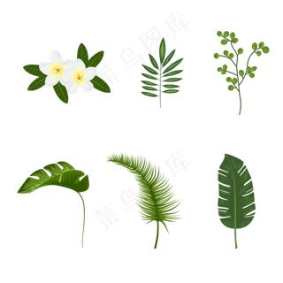 七夕情人节植物可商用元素