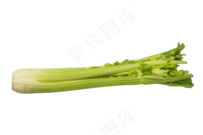 绿色食材芹菜(3000*2000px 300 dpi )