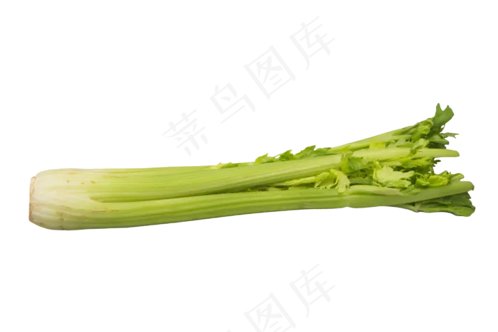 绿色食材芹菜(3000*2000px 300 dpi )