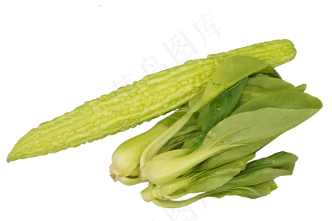 绿色蔬菜油菜 绿色蔬菜油菜
