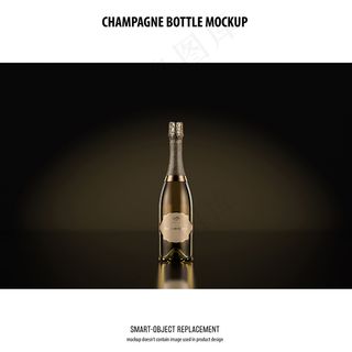 香槟瓶模型样机