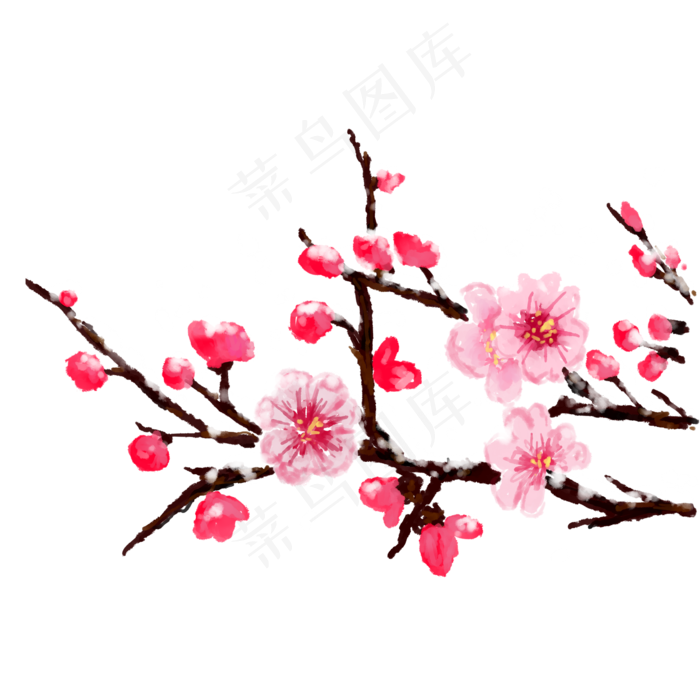 冬天腊梅红色素材免抠(2000X2000(DPI:300))psd模版下载