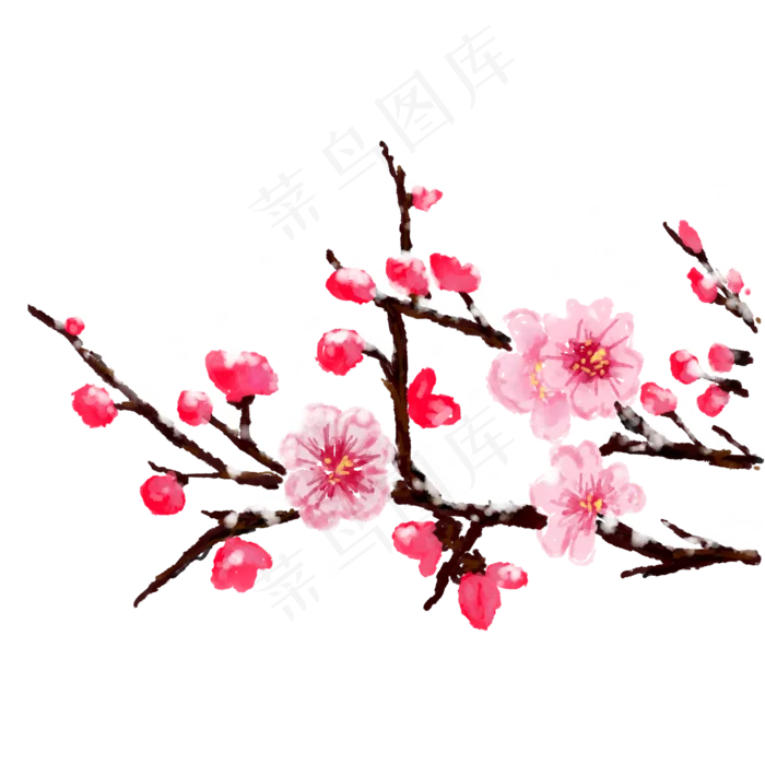 冬天腊梅红色素材免抠(2000X2000(DPI:300))psd模版下载