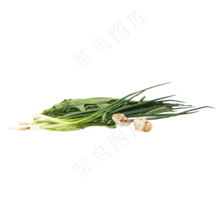 油麦菜葱大蒜蔬菜组合