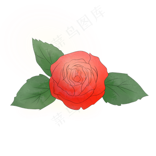 七夕节手绘红色玫瑰花