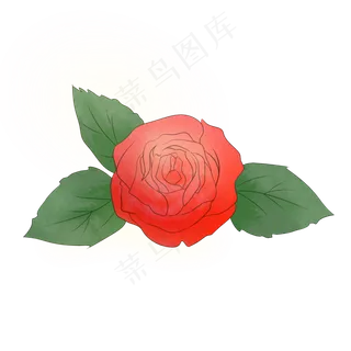 七夕节手绘红色玫瑰花