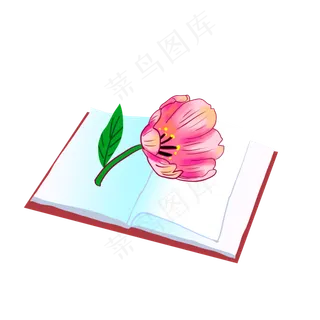 花朵花卉教师节