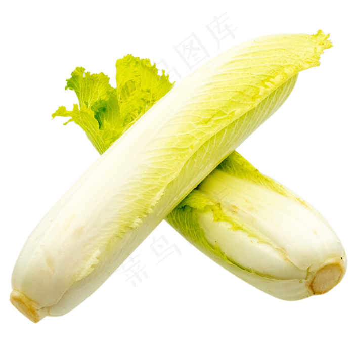 有机蔬菜白菜(2000*2000px 300 dpi )