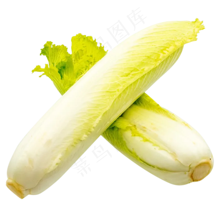 有机蔬菜白菜(2000*2000px 300 dpi )