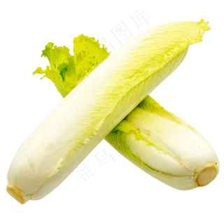 有机蔬菜白菜 有机蔬菜白菜