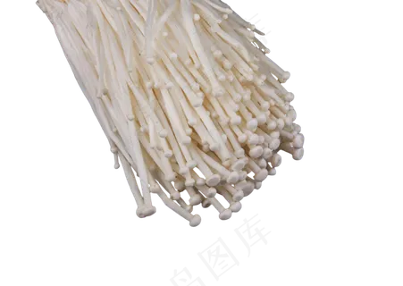 味道鲜美益智金针菇 味道鲜美益智金针菇