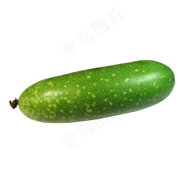 食材节瓜蔬菜(3750*3750px 300 dpi )