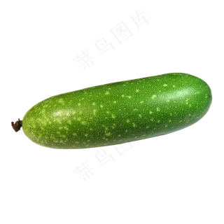 食材节瓜蔬菜