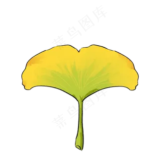 银杏叶秋天落叶手绘书签标本可商