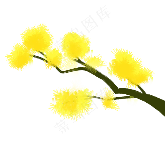 黄色卡通可爱菊花重阳节(2000X2000(DPI:300))psd模版下载