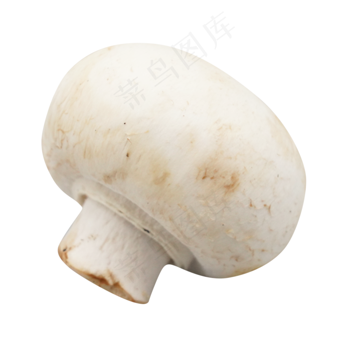 菌类蔬菜菌菇(2000X2000(DPI:200))