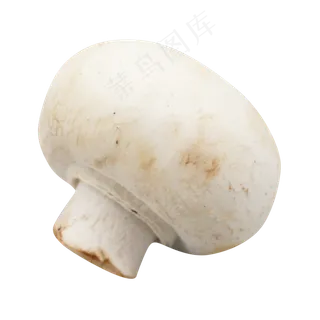 菌类蔬菜菌菇