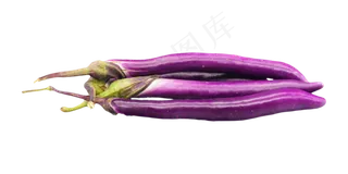 紫色长茄子蔬菜