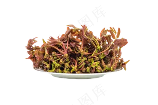 一盘野生香椿芽