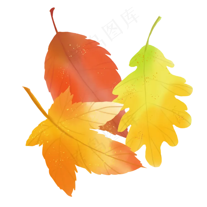 水彩秋天树叶(2000X2000(DPI:300))psd模版下载