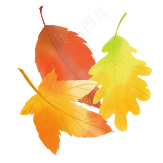 水彩秋天树叶