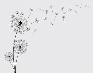 风吹散蒲公英的种子