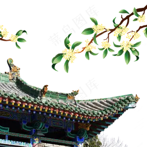 中秋桂花屋檐