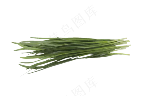 健康营养绿色的韭菜png素材