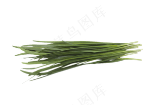 健康营养绿色的韭菜png素材