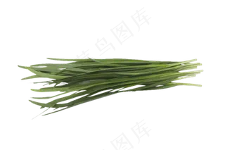 健康营养绿色的韭菜png素材