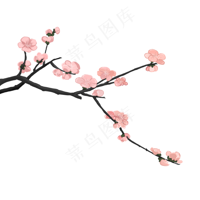 新中式风格梅花手绘装饰免扣图(2000X2000(DPI:300))psd模版下载