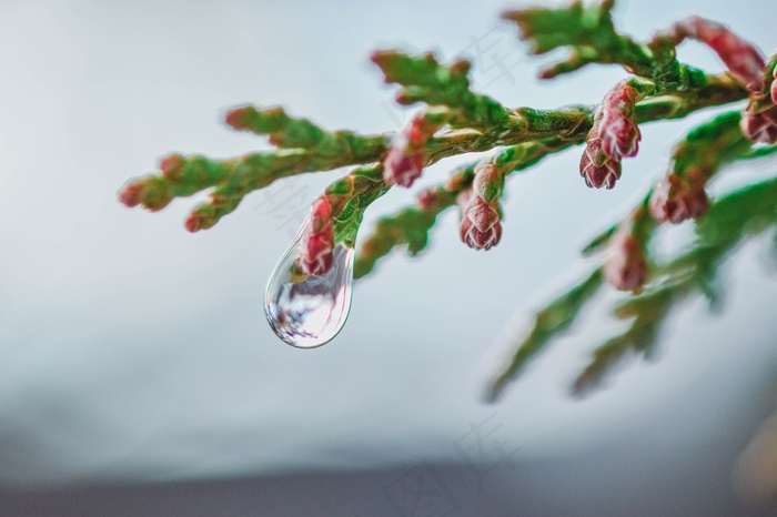 水滴，，，，，