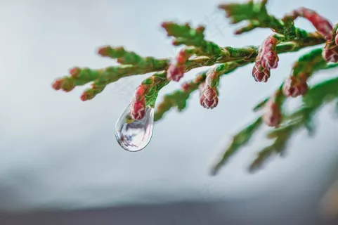 水滴，，，，，