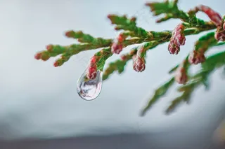 水滴，，，，，