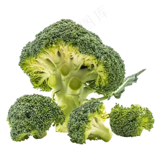 花椰菜菜蔬 花椰菜菜蔬