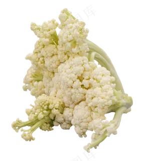 绿色蔬菜菜花 绿色蔬菜菜花