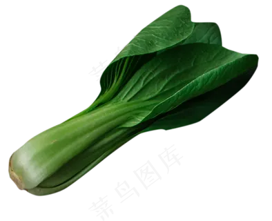 纯天然蔬菜 纯天然蔬菜