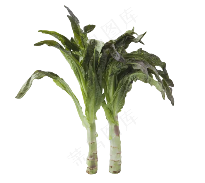 蔬菜纯天然食材农产品(2000X1786(DPI:240))psd模版下载