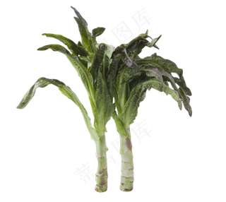 蔬菜纯天然食材农产品